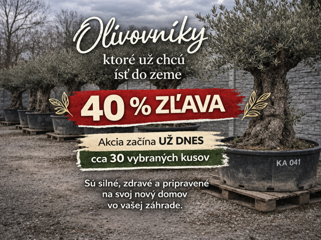 Akcia 40%