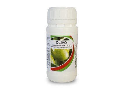 olivo